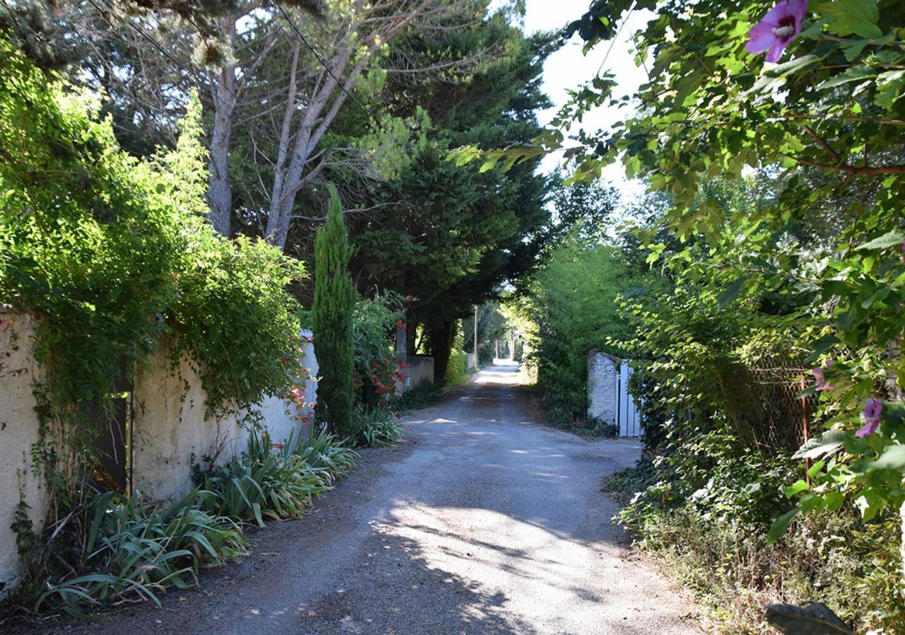 La Maison Des Invites Pernes-les-Fontaines Exteriér fotografie